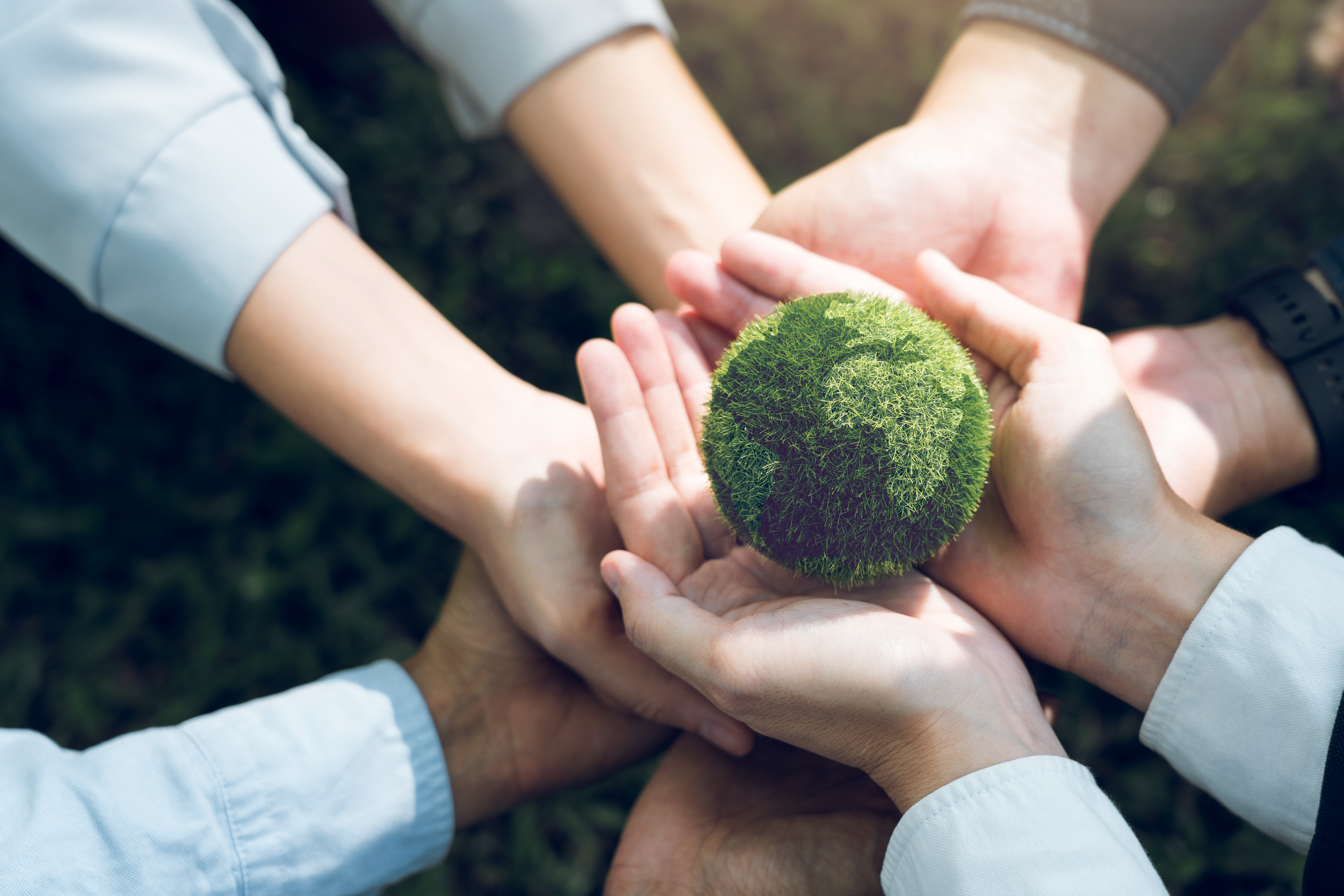 This photograph captures a group of hands forming a circle around a small, green, spherical object resembling a moss ball.