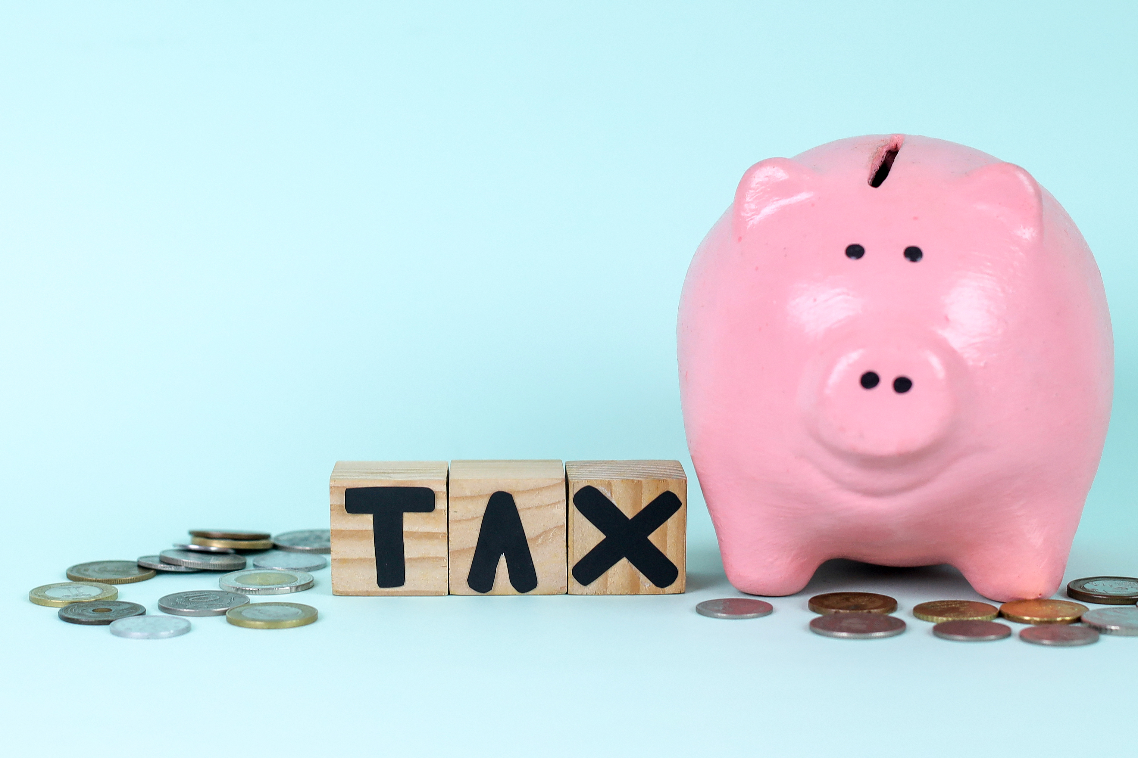 This is a photograph featuring a bright pink ceramic piggy bank with a coin slot at the top and a small rectangular hole on its belly. The piggy bank is positioned on the right side of the image, with three wooden blocks spelling out "TAX" in black letter